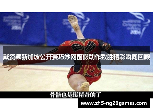 戴资颖新加坡公开赛巧妙网前假动作致胜精彩瞬间回顾