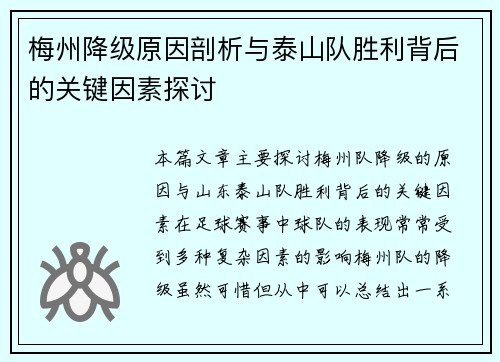 梅州降级原因剖析与泰山队胜利背后的关键因素探讨